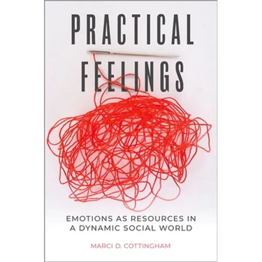Practical Feelings: Emotions as Resources in a Dynamic Social World