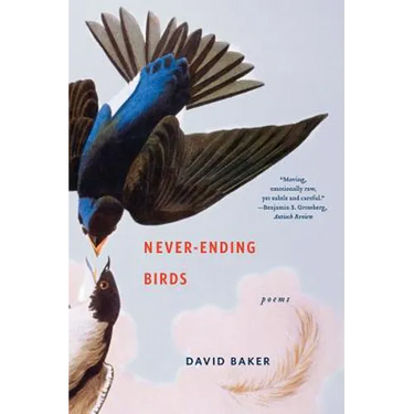Never-Ending Birds: Poems
