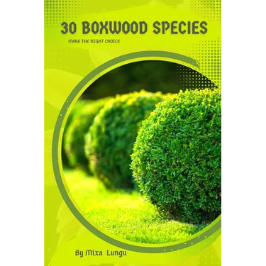 30 Boxwood species: Make the right choice