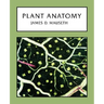 Plant Anatomy