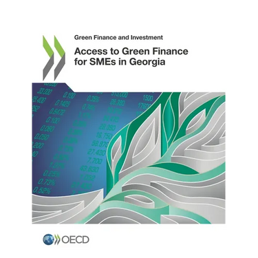 Access to Green Finance for SMEs in Georgia