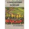 Gymnosperms in Sikkim