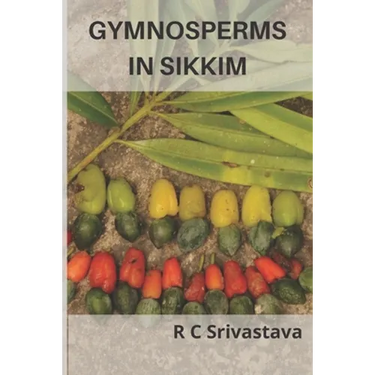 Gymnosperms in Sikkim