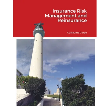 Insurance Risk Management and Reinsurance