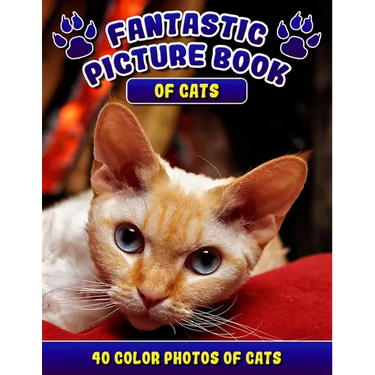 Fantastic Picture Book of Cats. 40 Color Photos of Cats: Cat Names Picture Book Gift for Adults & Seniors with Alzheimer's.