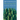 Phytopolis: The Living City