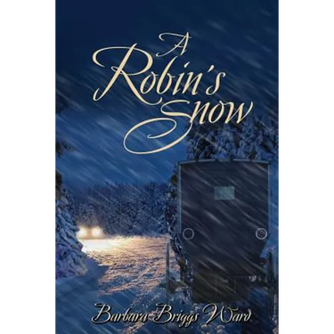 A Robin's Snow