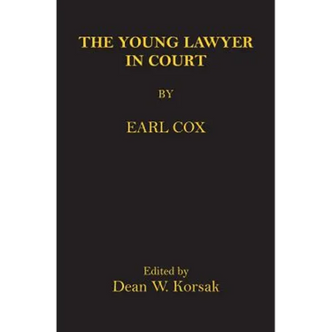 The Young Lawyer In Court