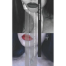 Surviving Anorexia Nervosa: Sydney Rose Salomon