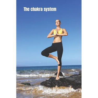 The chakra system: The energy vortexes within