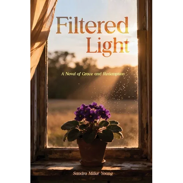 Filtered Light: A Novel of Grace and Redemption