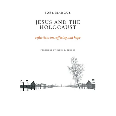 Jesus and the Holocaust: Reflections on Suffering and Hope