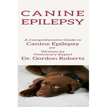 Canine Epilepsy: A Comprehensive Guide To Canine Epilepsy