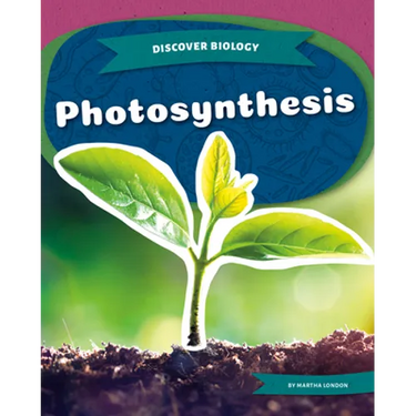 Photosynthesis