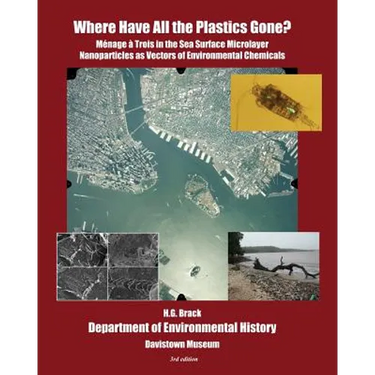 Where Have All the Plastics Gone?: Menage a Trois in the Sea Surface Microlayer: Nanoparticles as Vectors of Environmental Chemicals