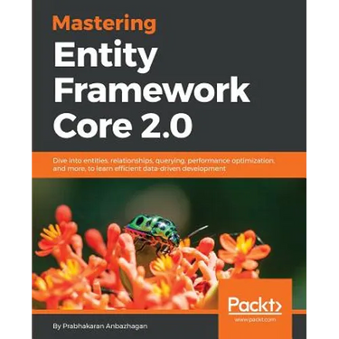 Mastering Entity Framework Core 2.0