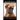 Boxer Dogs, Boxer Training Book for Boxer Dogs & Boxer Puppies By D!G THIS DOG Training Training Begins From the Car Ride Home, Boxer Dog Book