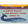 Is a Blue Whale the Biggest Thing Thereis?