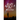 Bright Lights in A Dim Universe