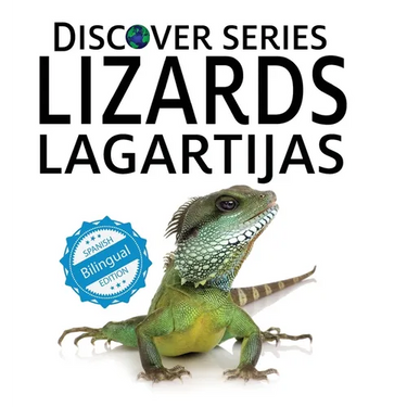 Lizards / Lagartijas