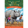 Rhinos at Recess