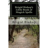 Brigid Bishop's Little Book of Magick Spells: 21st Century Magick