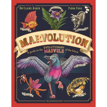 Marvolution