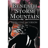 Beneath Storm Mountain