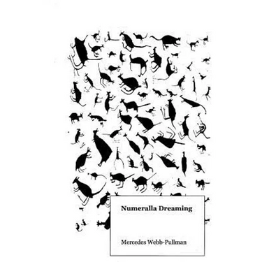 Numeralla Dreaming