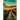 Spiritual Gifts Reimagined: The Journey View