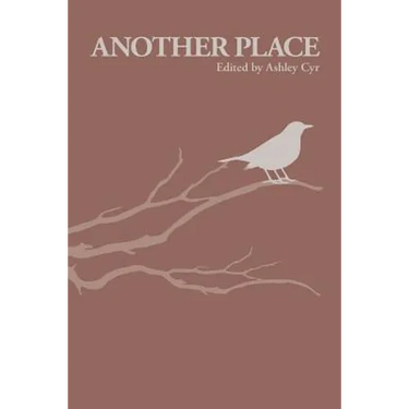 Another Place: Brief Disruptions