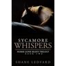 Sycamore Whispers