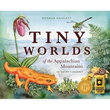 Tiny Worlds of the Appalachian Mountains: An Artist's Journey