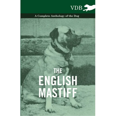 The English Mastiff - A Complete Anthology of the Dog