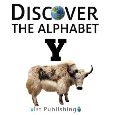 Y