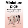 Miniature pigs. Miniature pigs as pets. Mini Pigs book for housing, keeping, diet, health, costs, pros and cons.