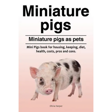 Miniature pigs. Miniature pigs as pets. Mini Pigs book for housing, keeping, diet, health, costs, pros and cons.