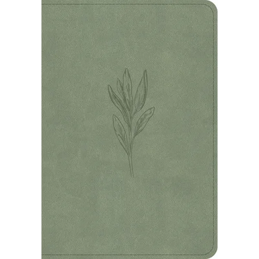 NASB Large Print Compact Reference Bible, Sage Suedesoft Leathertouch