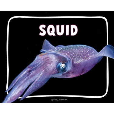 Squid