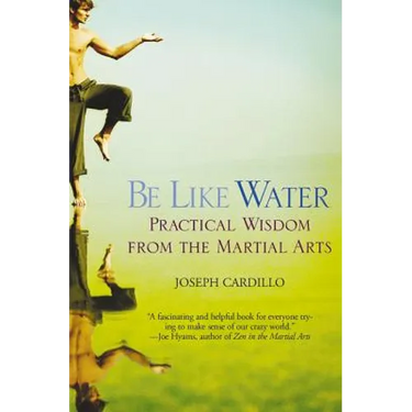 Be Like Water: Practical Wisdom from the Martial Arts