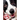 Boy's Best Friend