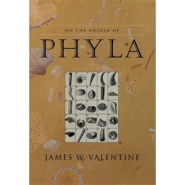 On the Origin of Phyla