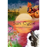 Sun Cycle: Celebrating the World's Seasons