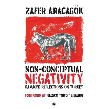 Non-Conceptual Negativity: Damaged Reflections on Turkey