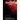 The Assassins Code 1
