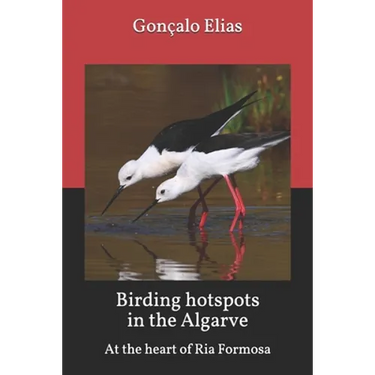 Birding hotspots in the Algarve: At the heart of Ria Formosa