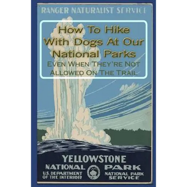 How To Hike With Dogs At Our National Parks - Even When They're Not Allowed On The Trail