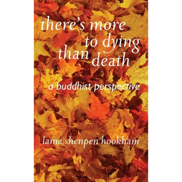 There's More to Dying Than Death: A Buddhist Perspective