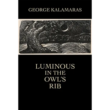 Luminous in the Owl's Rib