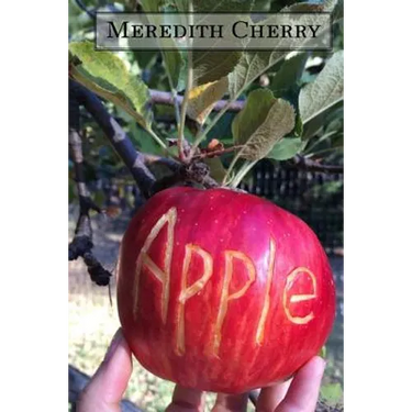 Apple: The Complete Guide to Organic Success in Your Backyard